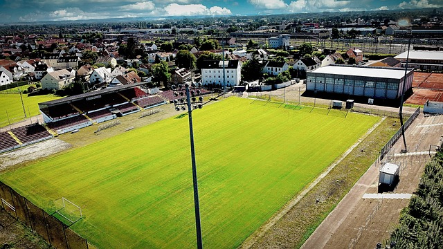 只是缺乏進 只是缺乏進